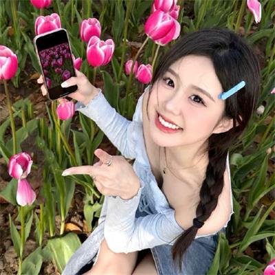 廿载风流梦